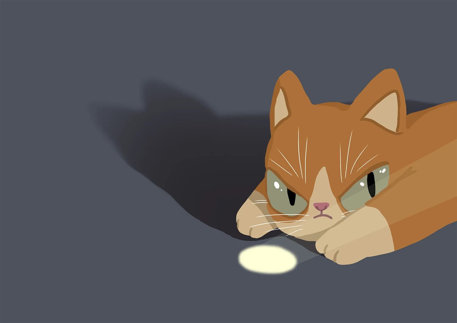 Play with your cat