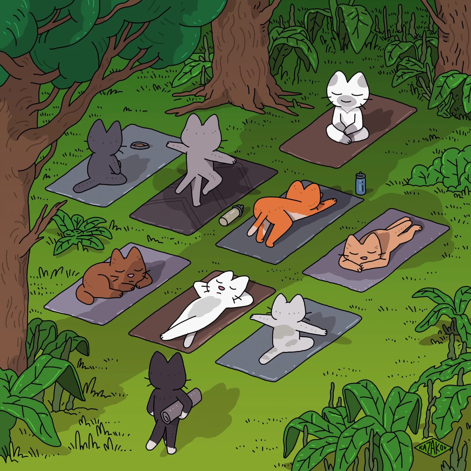 Cat Yoga