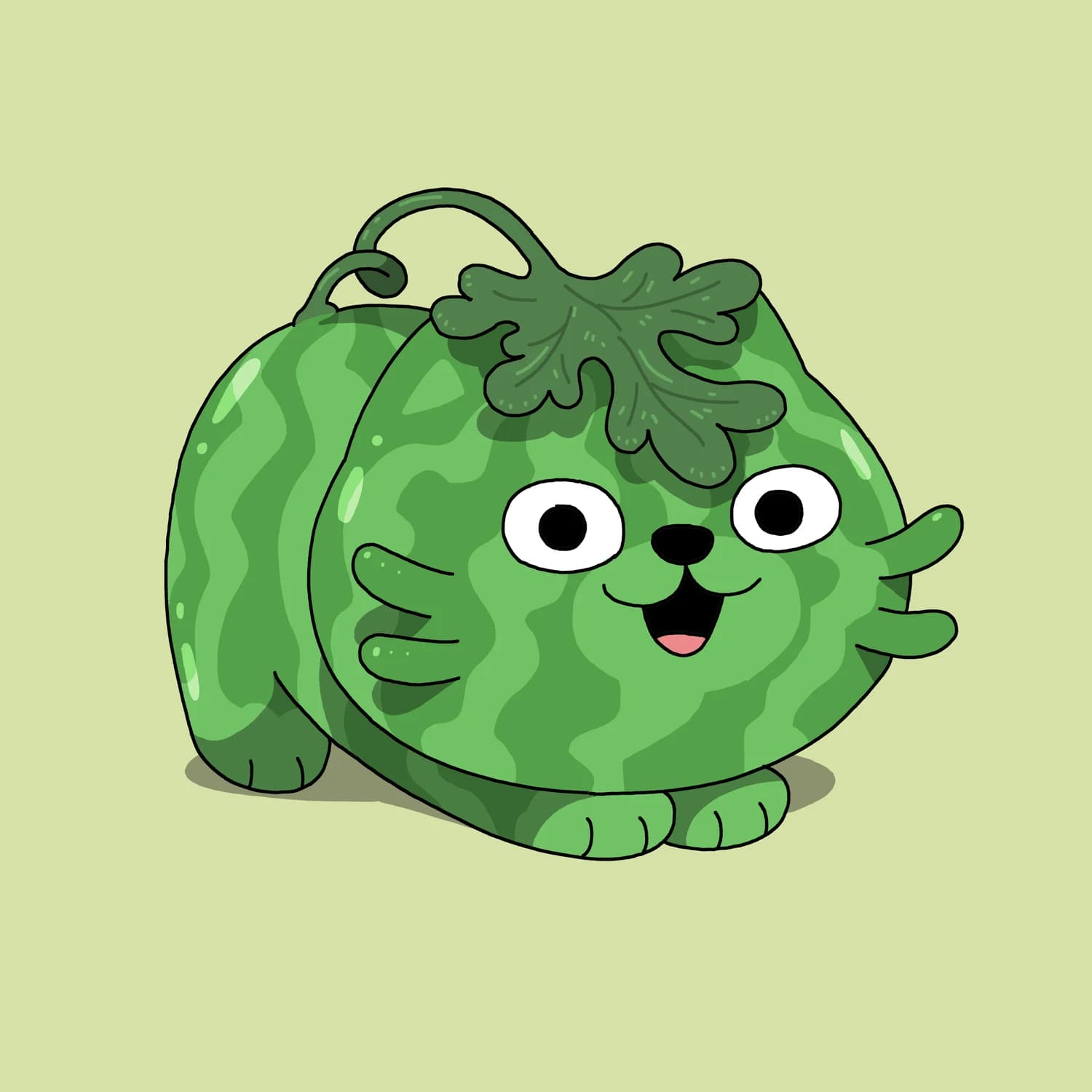 Watermelon themed cat