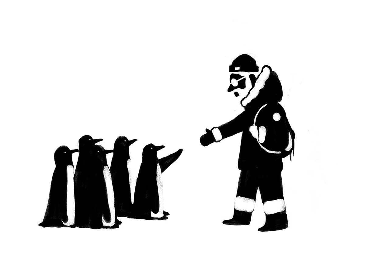 Hello Penguins