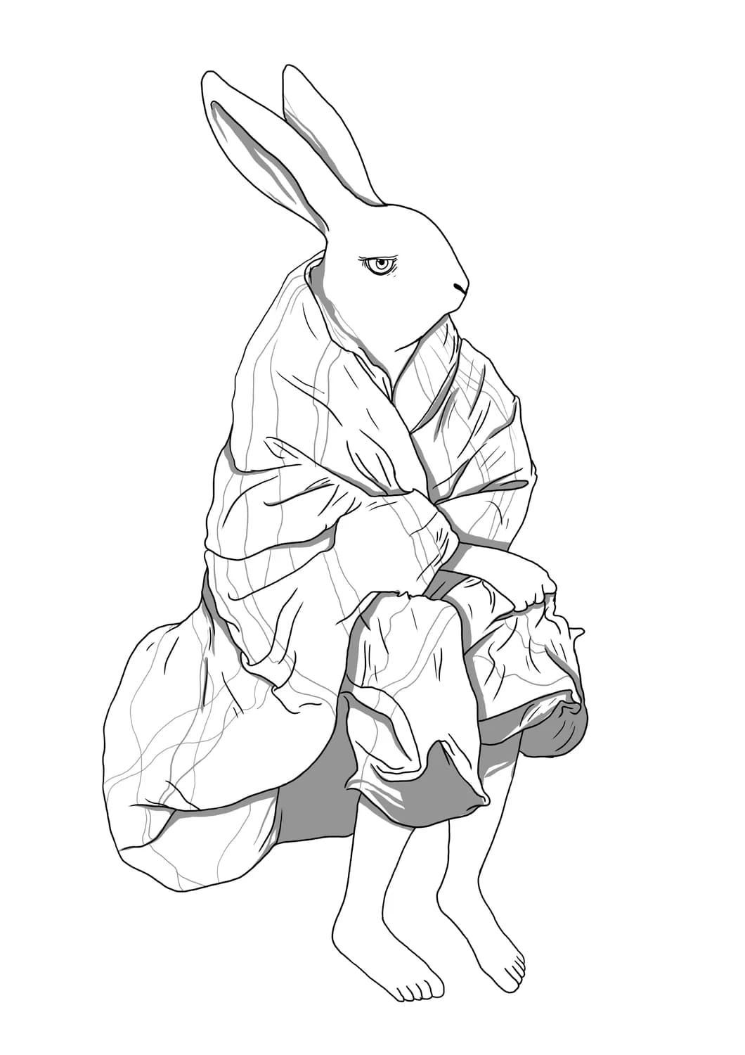 Rabbit