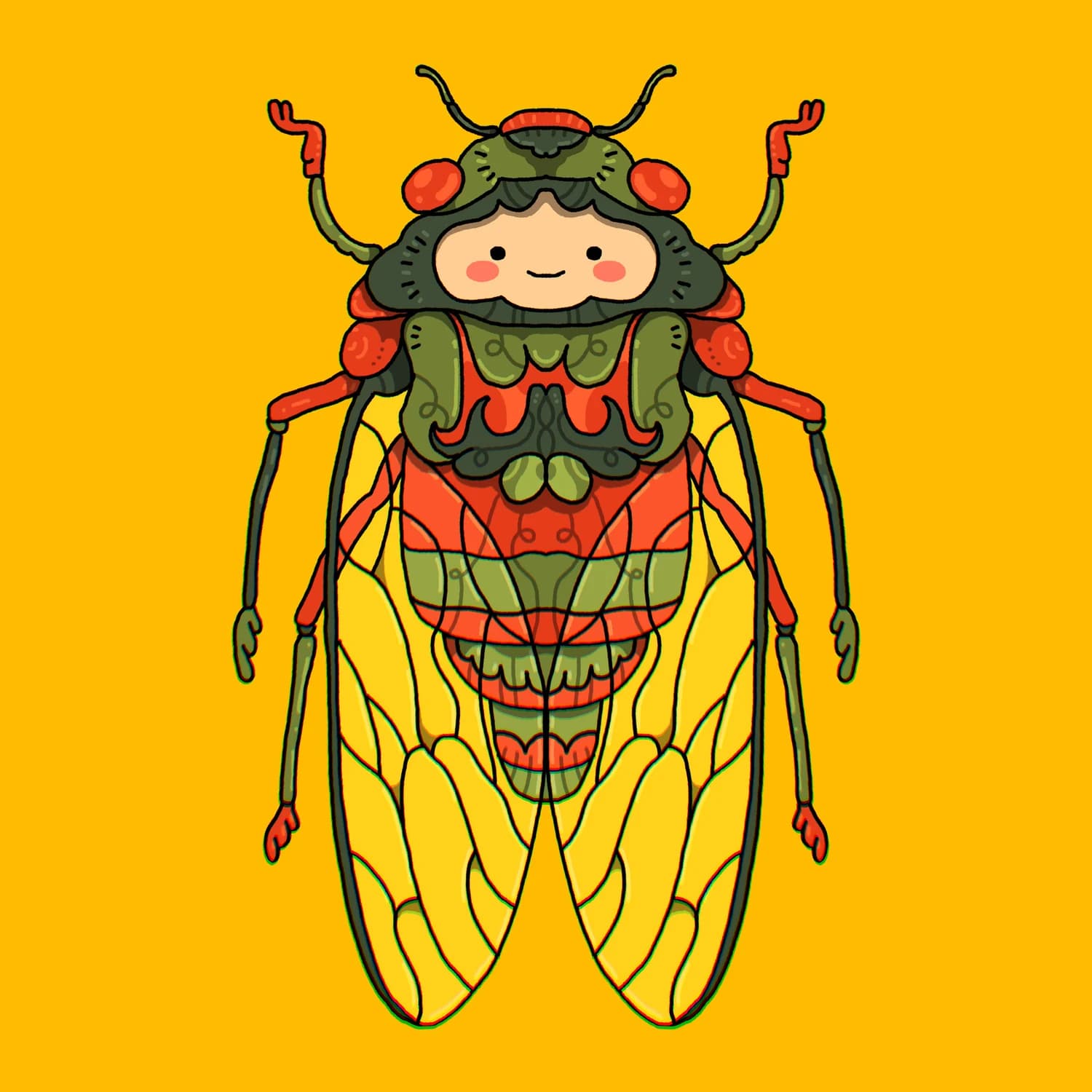Cicada