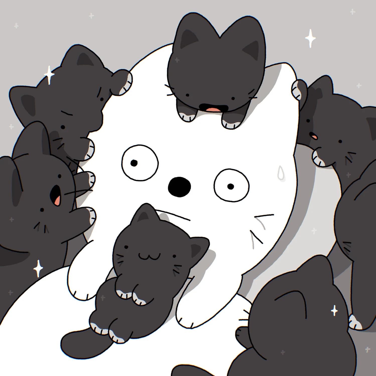 Lil Cats