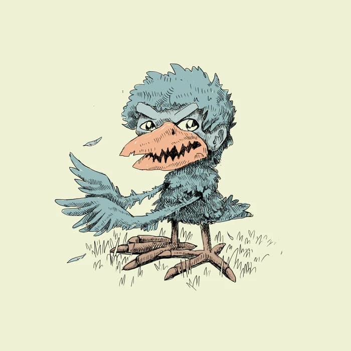 Angry bird
