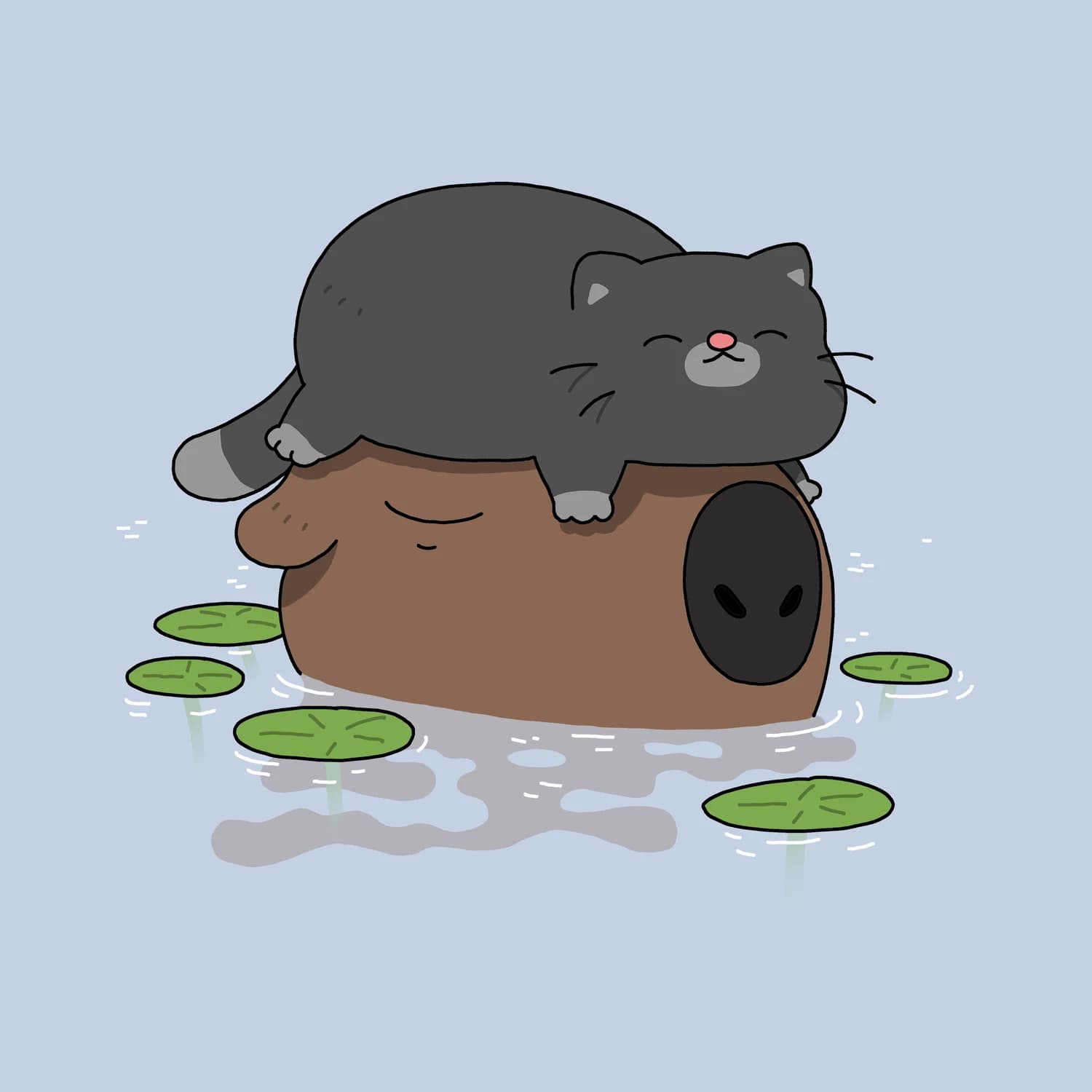 A capybara with a chonk on it's head