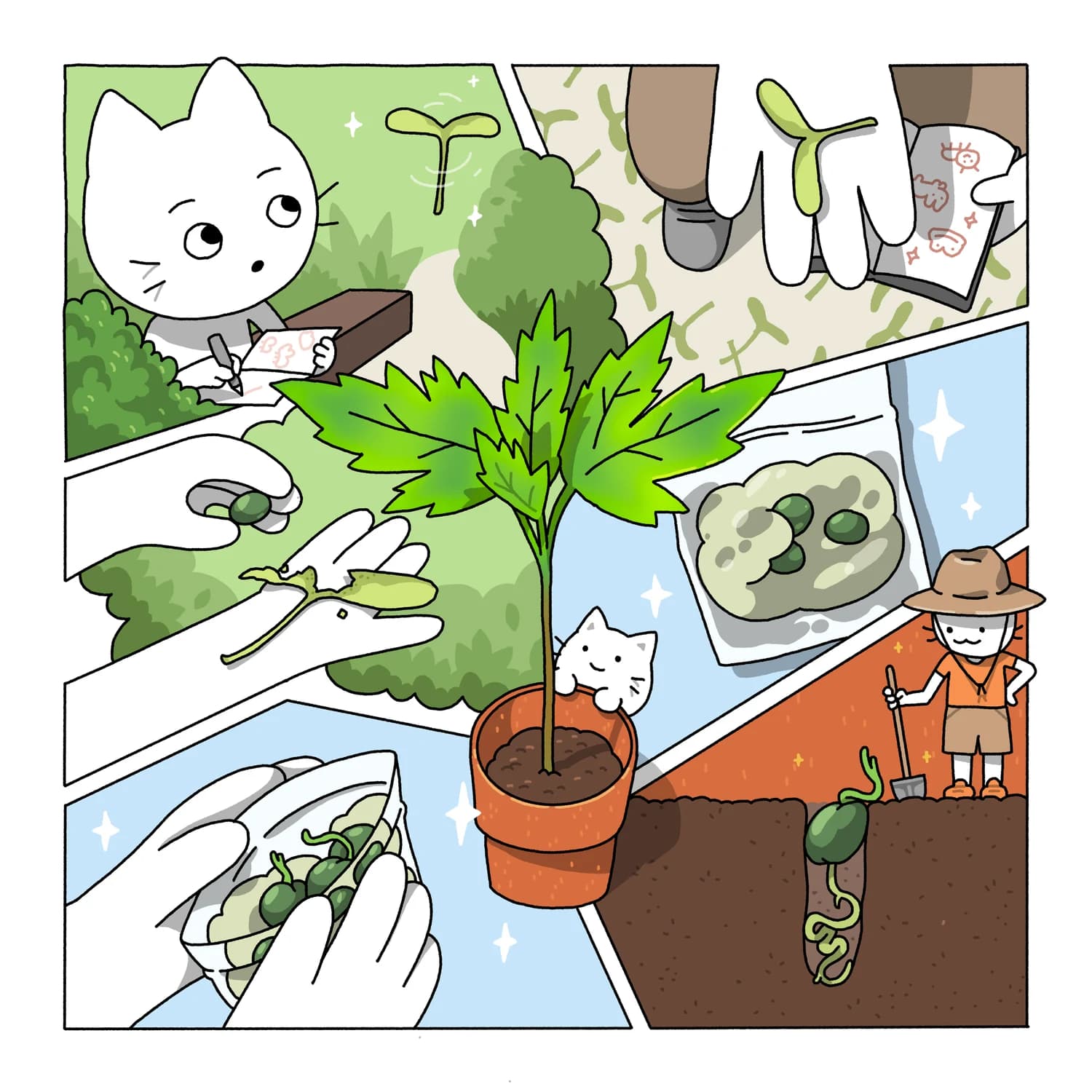 I planted a tree