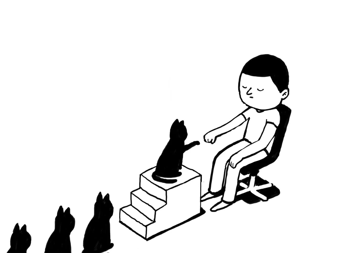 Cats bro