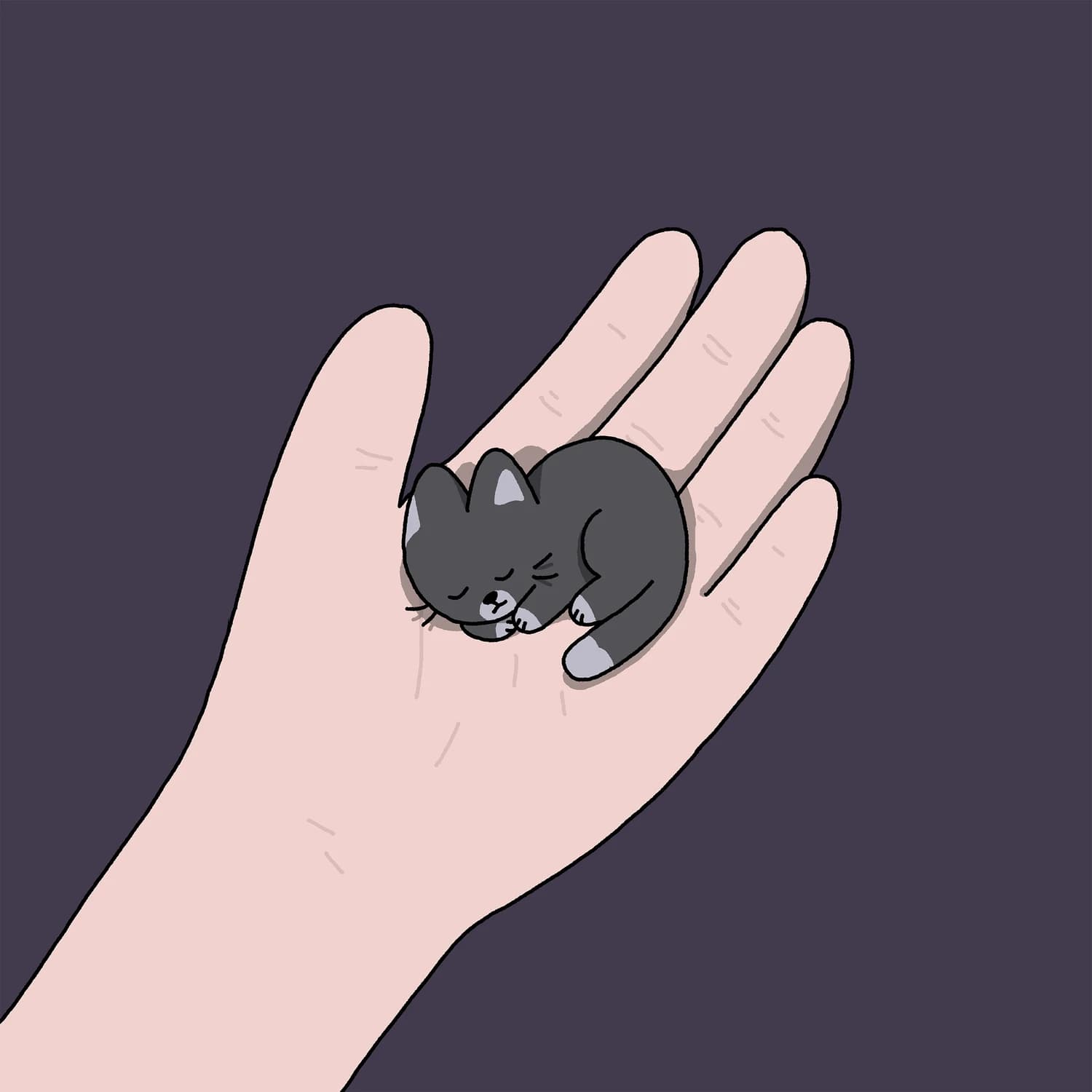 Kitty