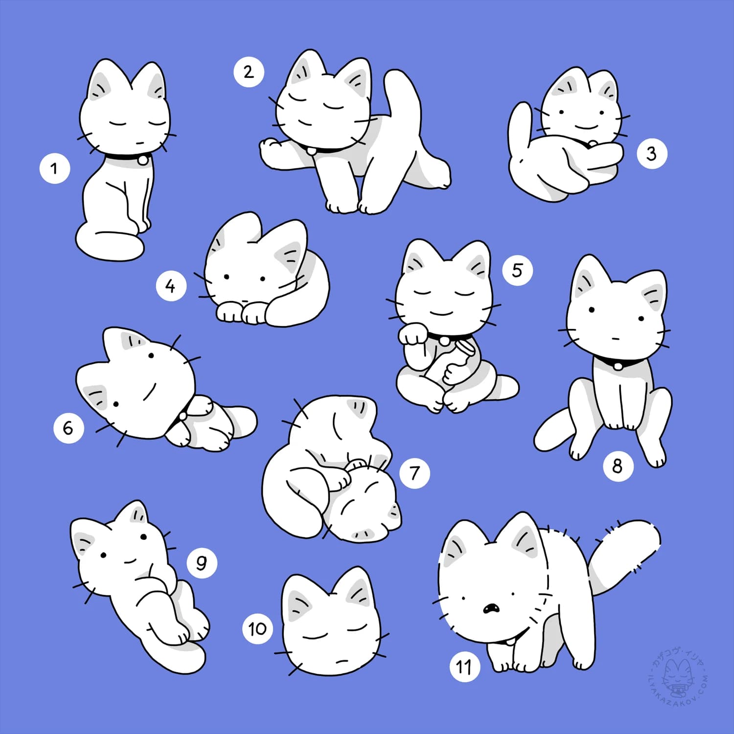 Choose your cat