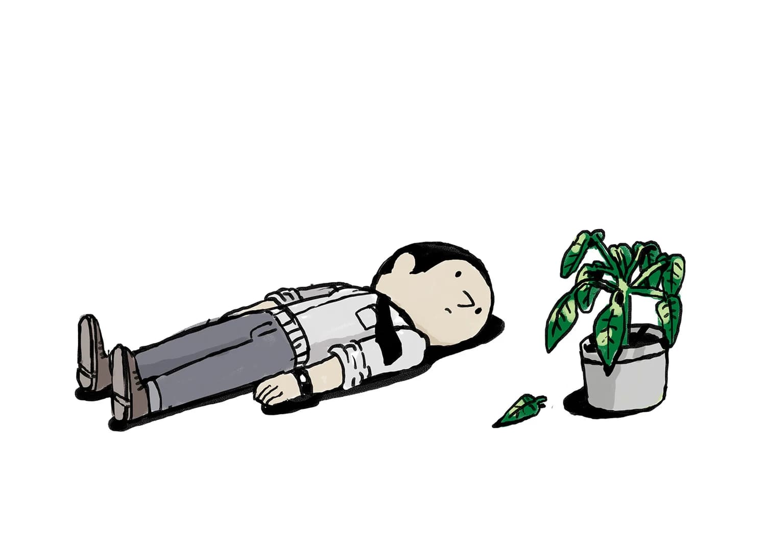 Plant