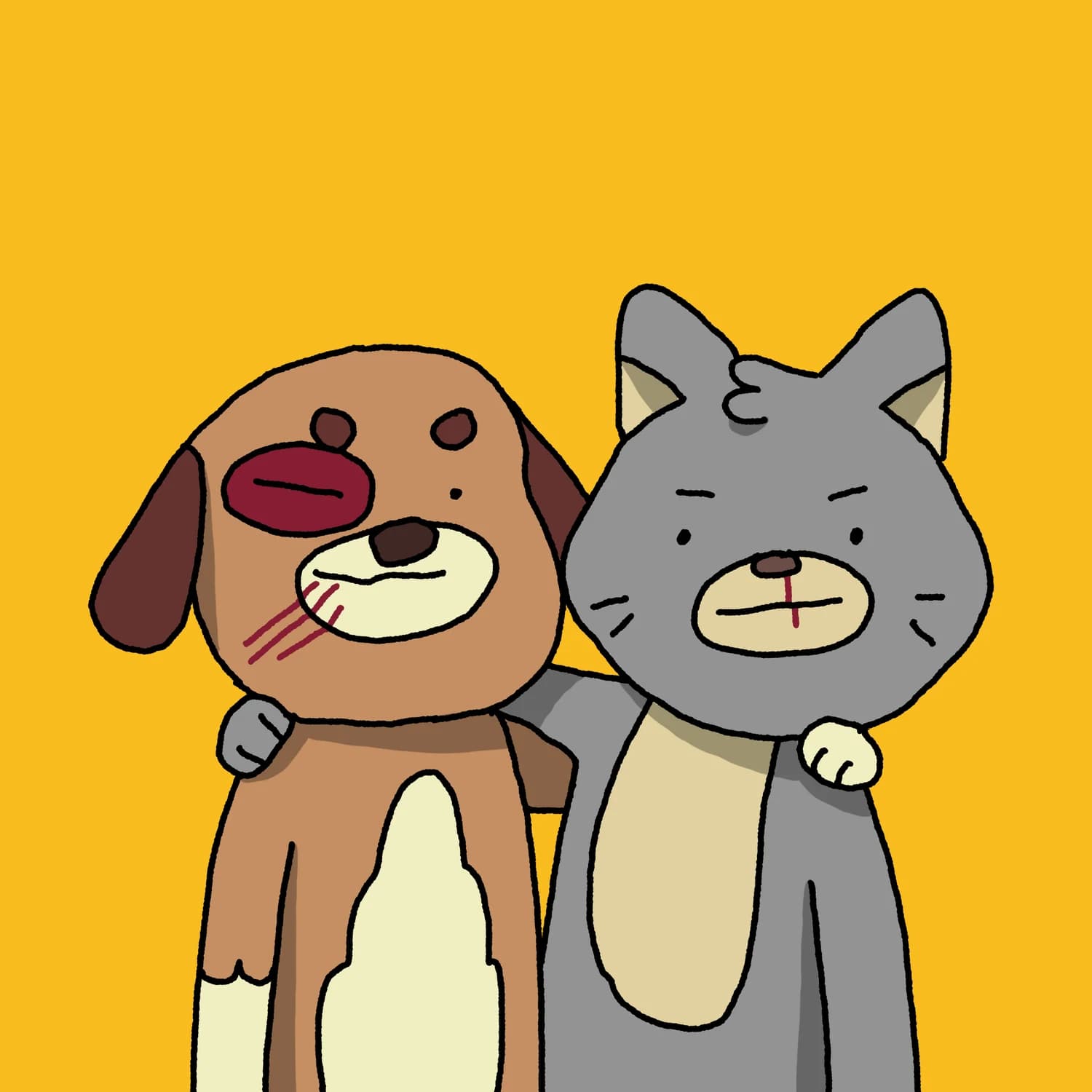 Dog and cat overcome differences to become friends