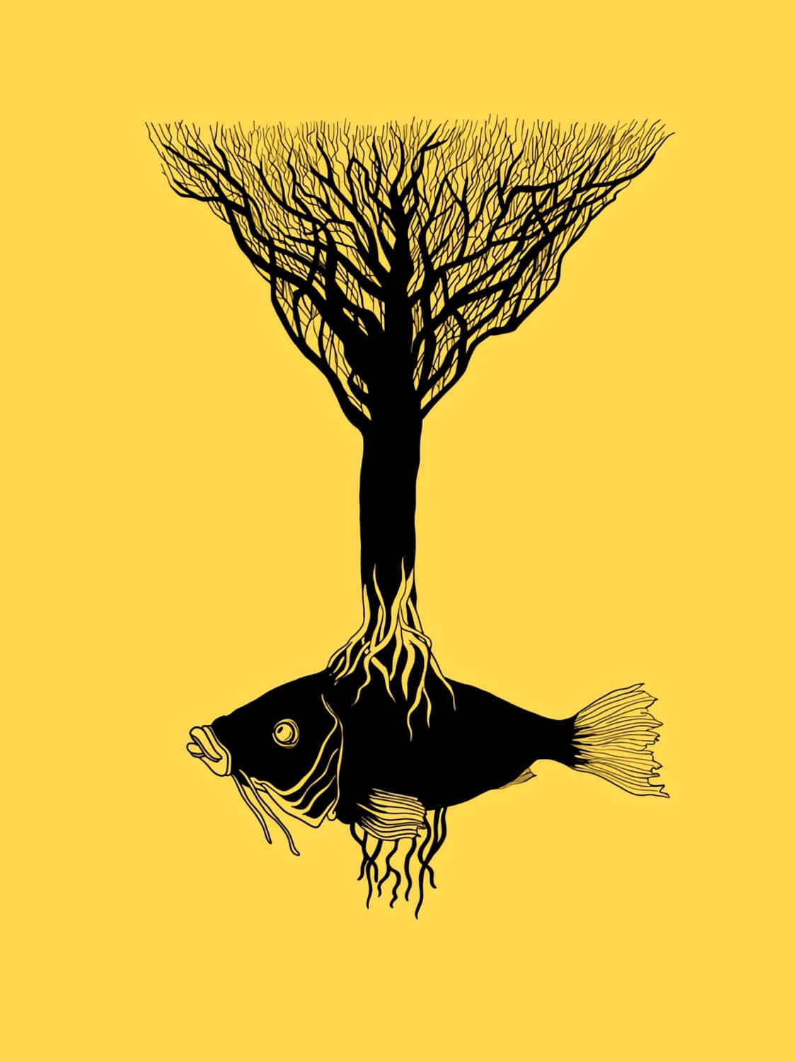 The Fish