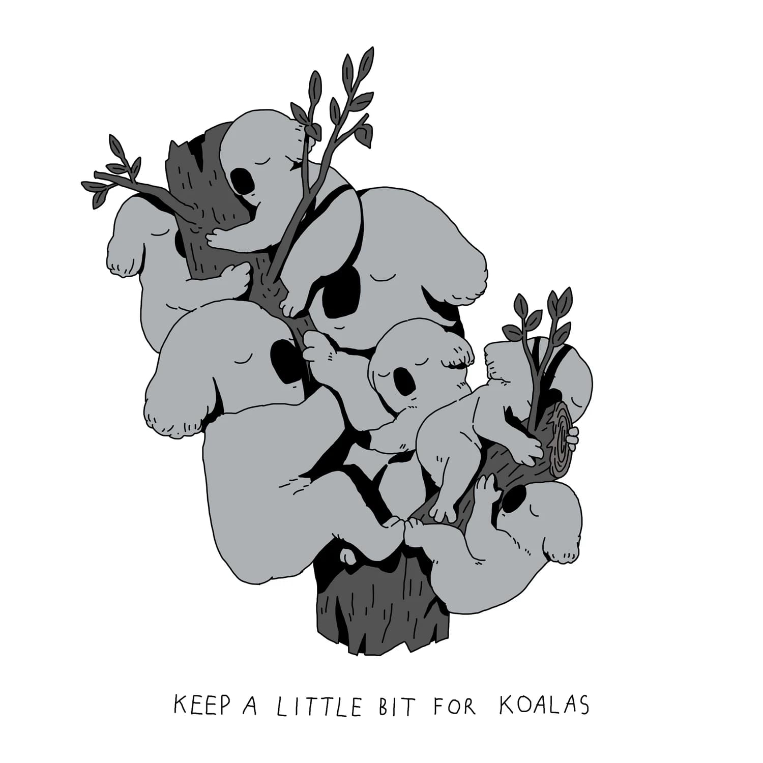 For Koalas