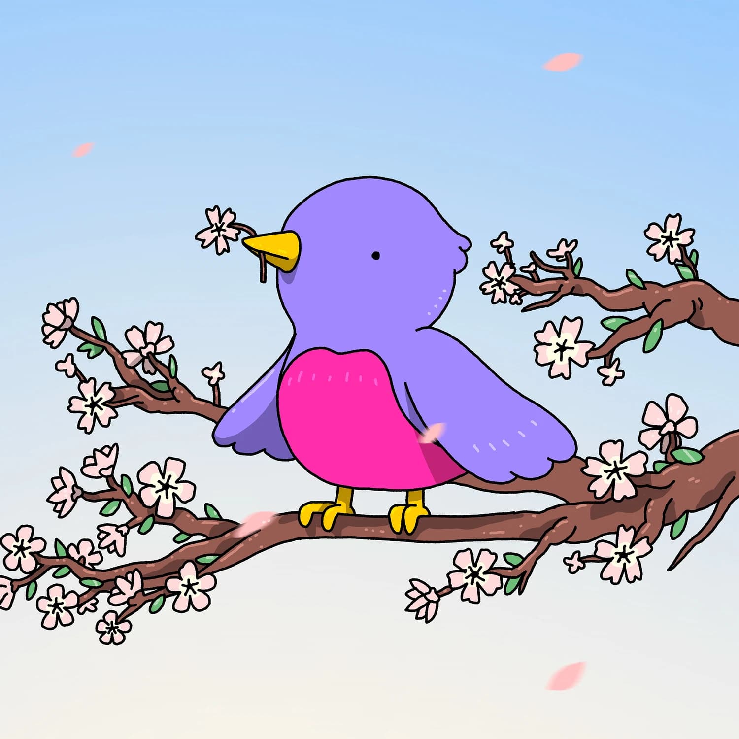 Bird