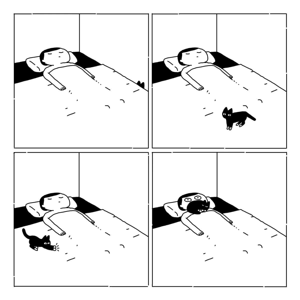 Live with a cat