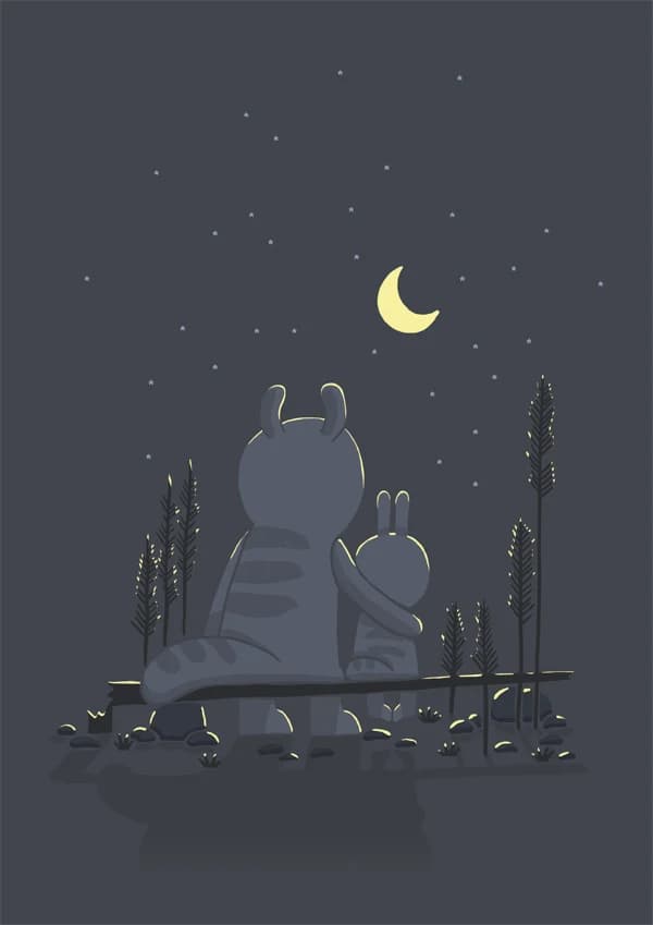 Night