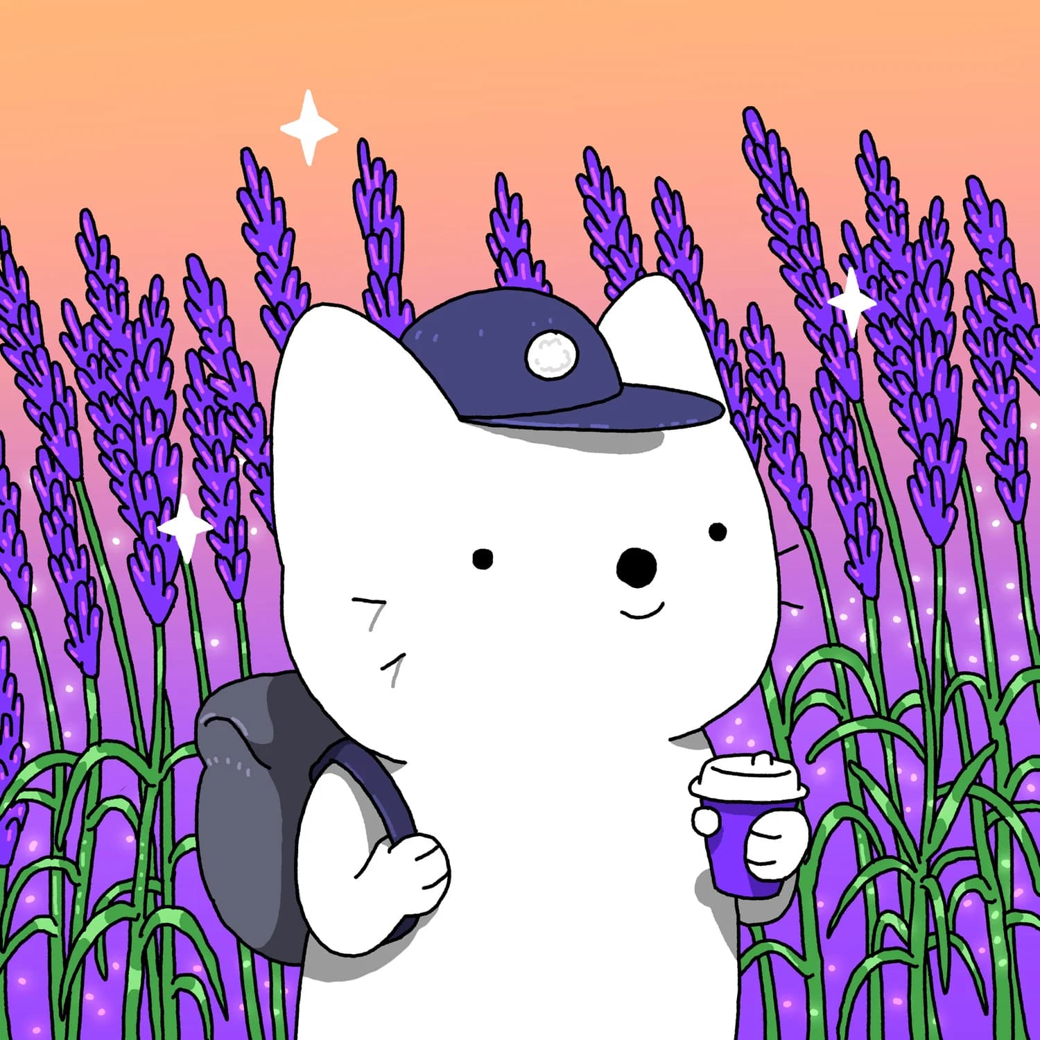 Lavender
