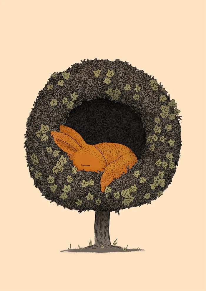 Foxbit