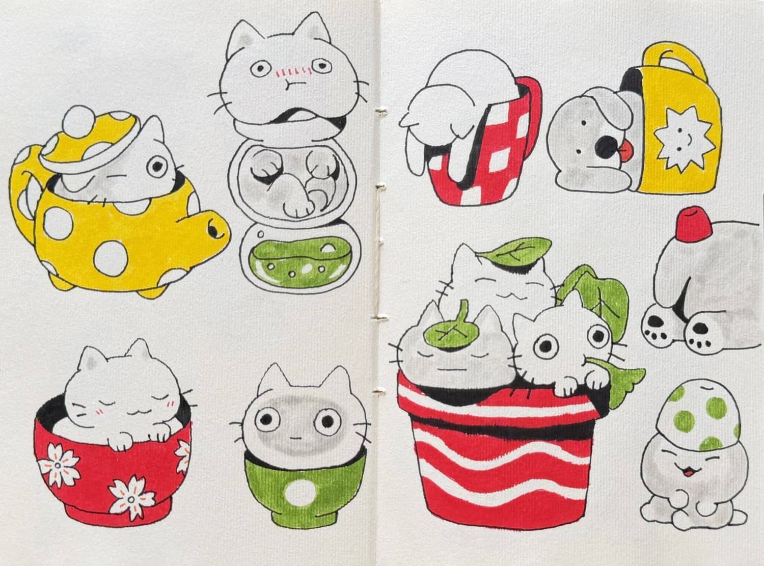 Cups