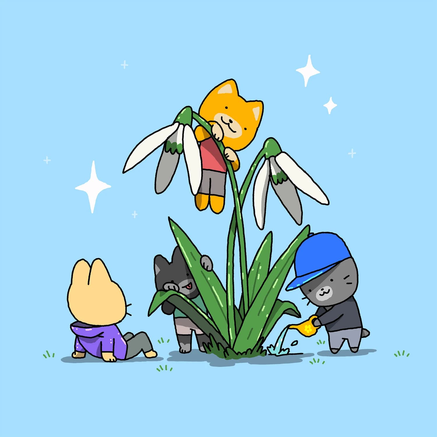 Snowdrops