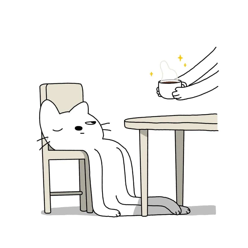 Lazy Morning