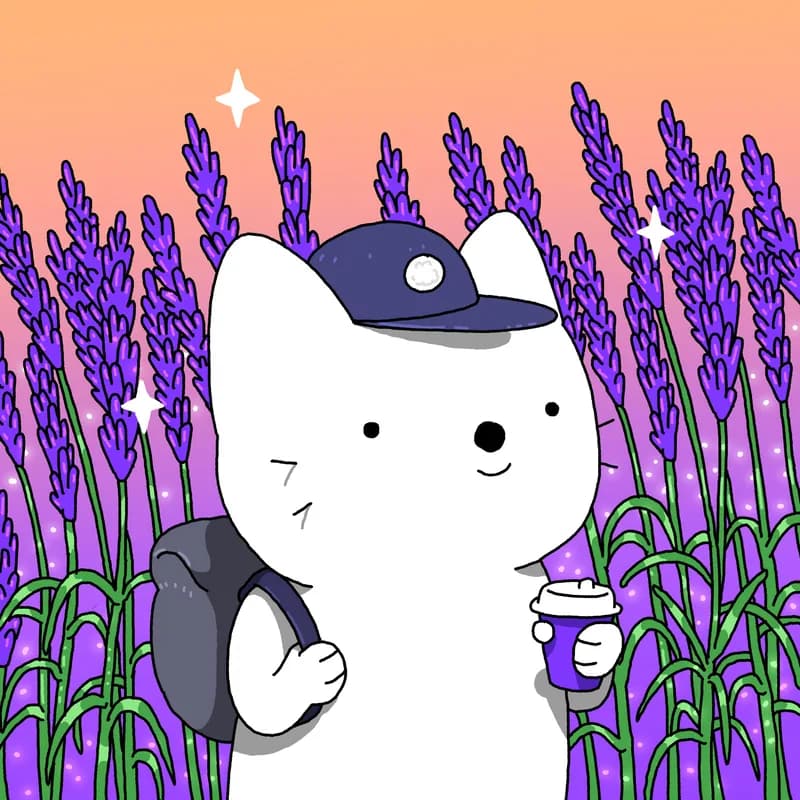 Lavender
