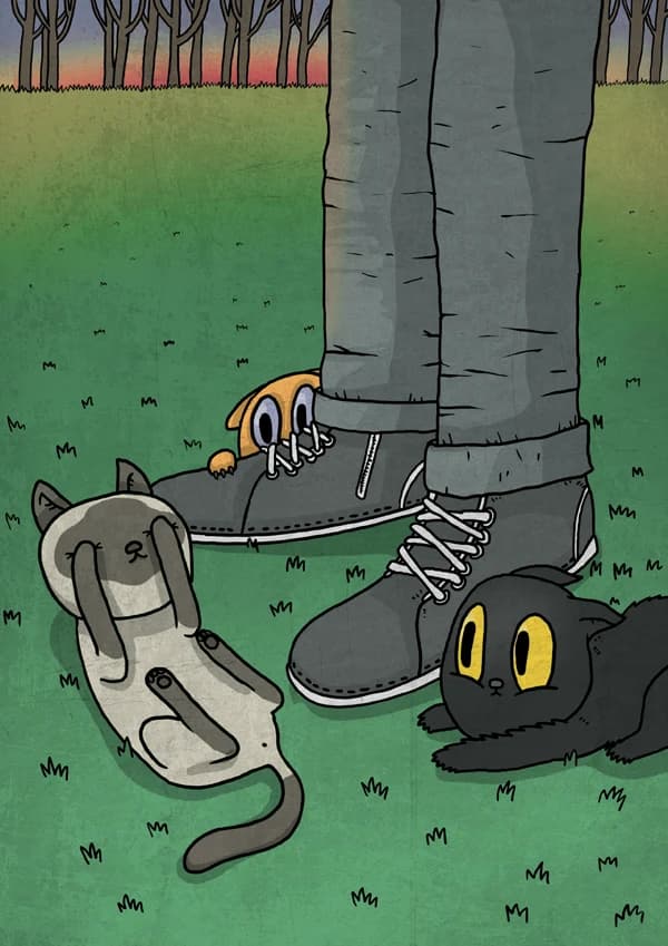 New cat