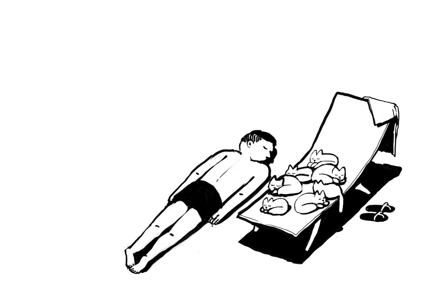 My priorities