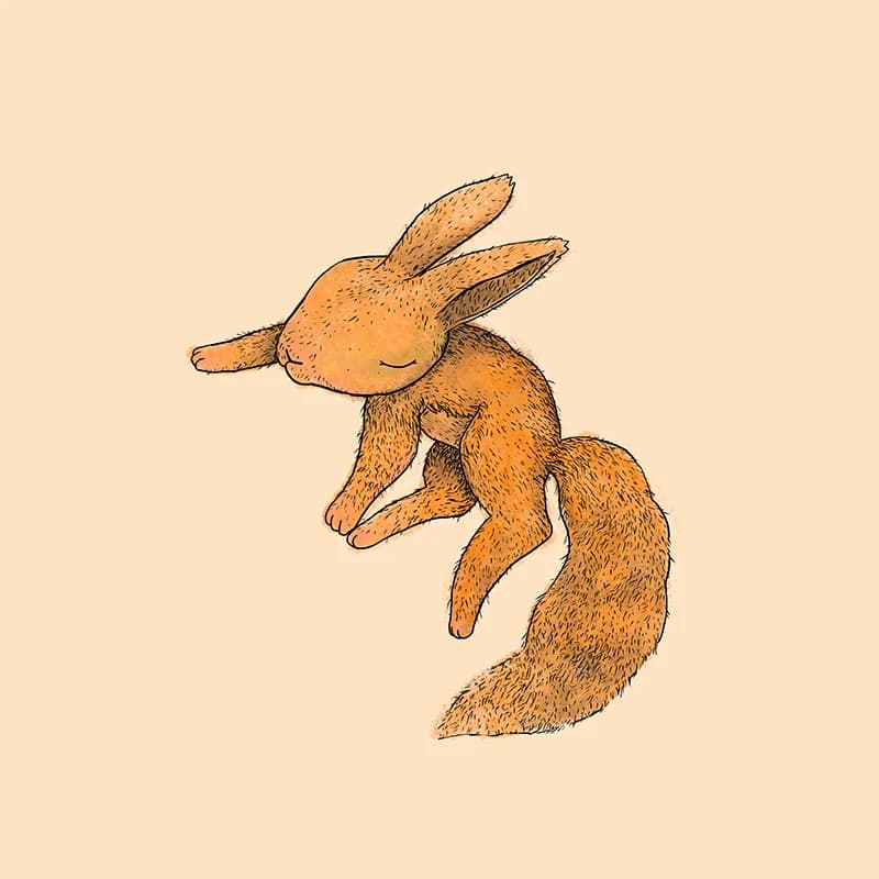 Foxbit