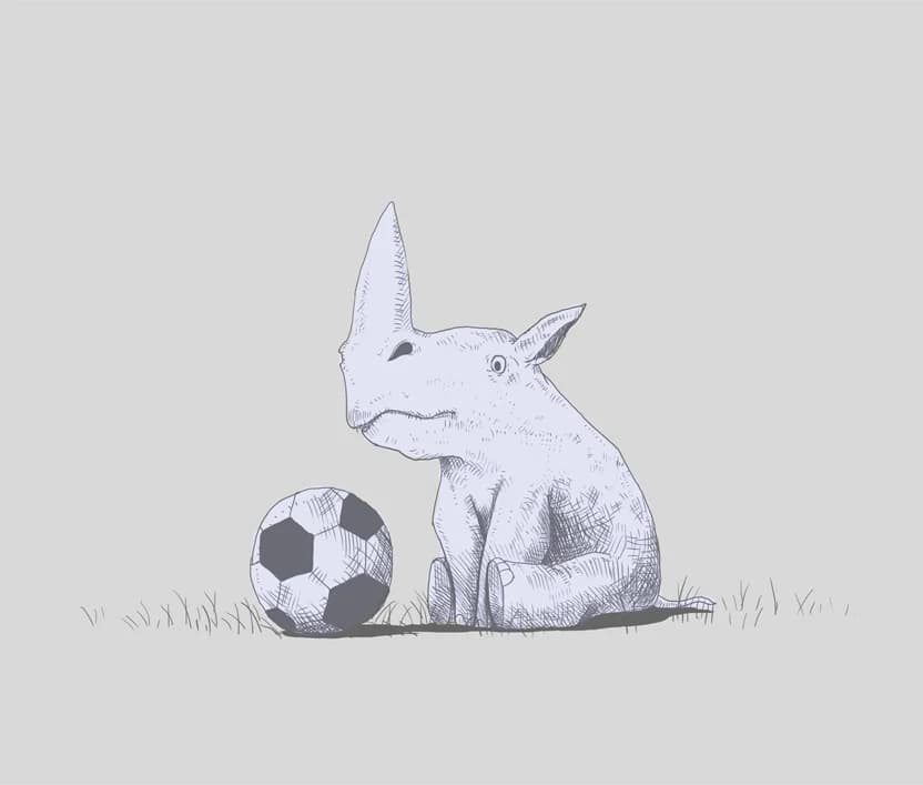 Rhino Football
