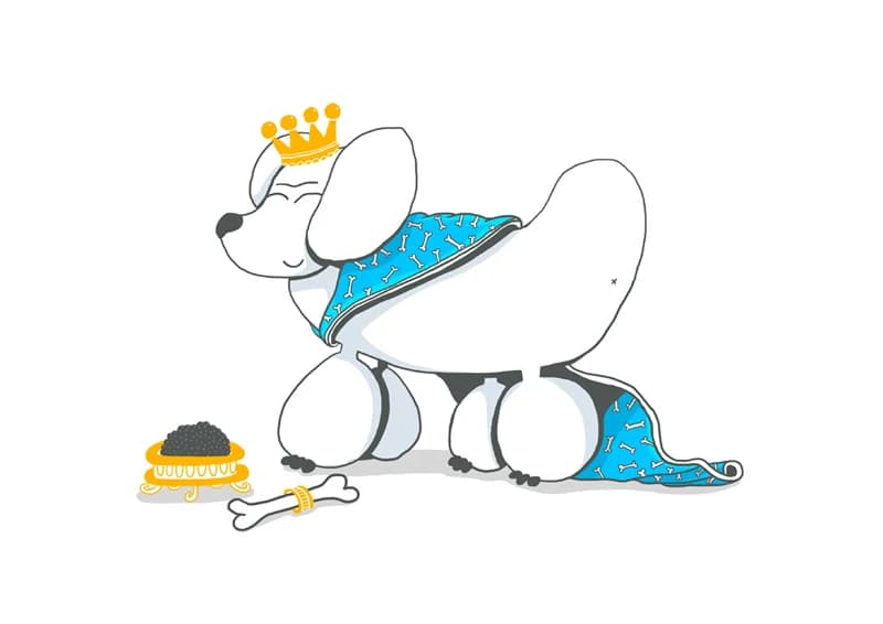 Royal Poodle