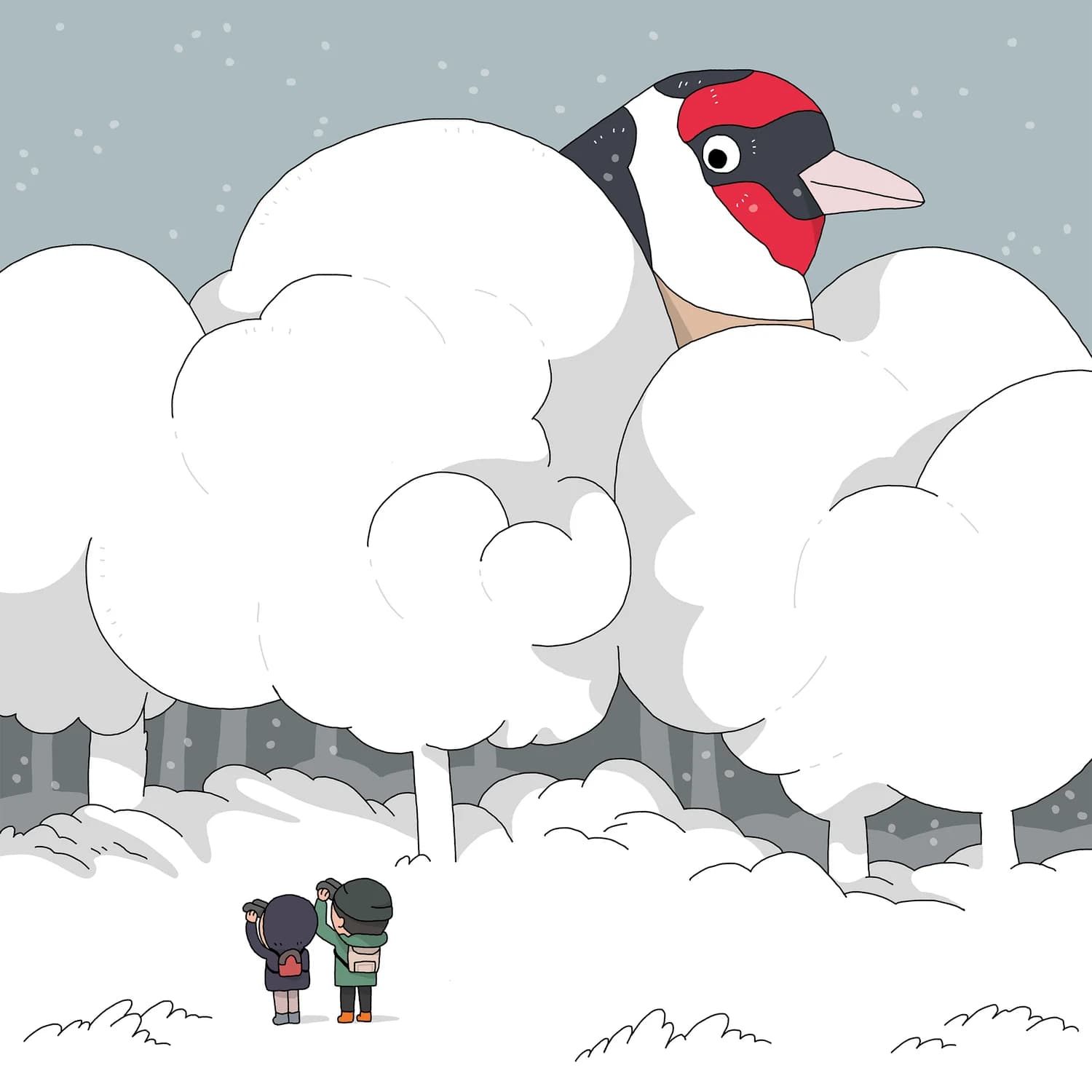 Winter Birdwatching